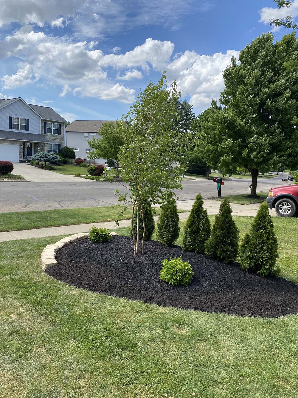 edge-garden edge-garden