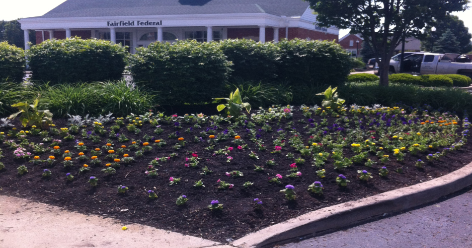 Fairfield Federal - Landscaping - Pickerington, Ohio Fairfield Federal - Landscaping - Pickerington, Ohio