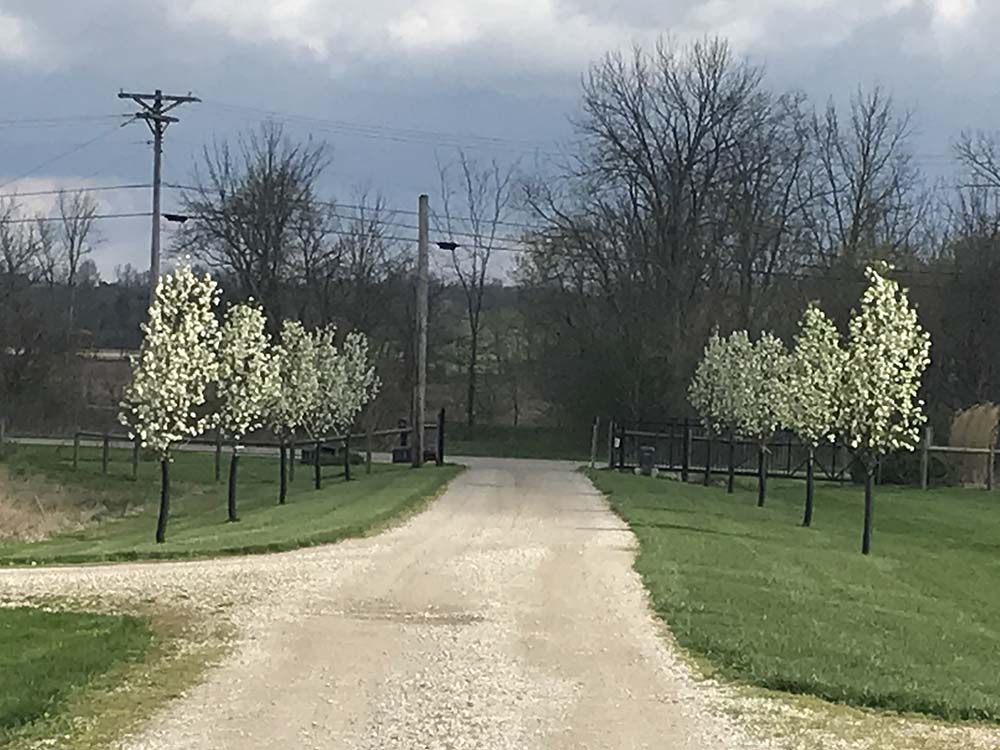 enternance, driveway enternance, driveway