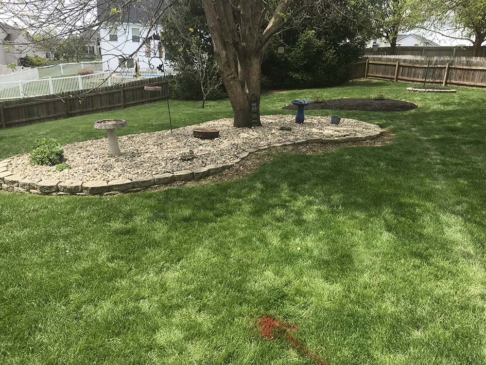 garden, side area garden, side area